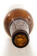 empty beer bottle