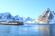 Hamnøy's fjord in wintertime Hamnøy's fjord in wintertime