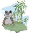 Bear. Panda and bamboo wood. Cartoon