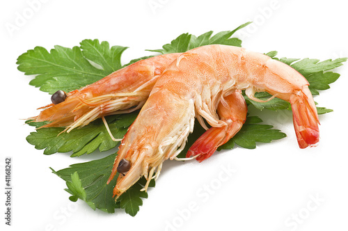 Foto: shrimps shrimps