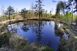Birkensee / Moorweiher im Schönbuch