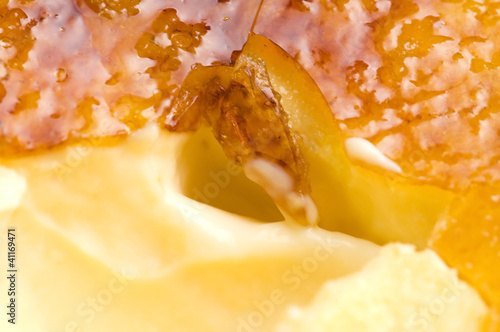 Photo: French dessert - cream brulee, burnt cream French dessert - cream brulee, burnt cream