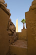 Karnak Temple obelisk Karnak Temple obelisk