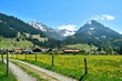 Bergdorf im Frühling