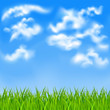 Summer background  EPS10