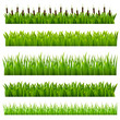 Set from grass