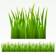 Grass border