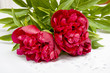 three red peony