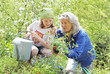 Foto: Bei der Gartenarbeit Bei der Gartenarbeit