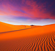 Desert