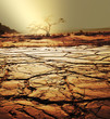 Drought land