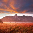 Yosemite at sunrise
