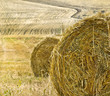 Straw bale in a field. Farm field after harvest with hay ball. Straw bale in a field. Farm field after harvest with hay ball.