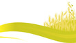golden wheat on white background