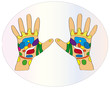 Handreflexzonen2