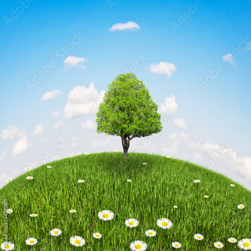 Photo: mound with grass mound with grass