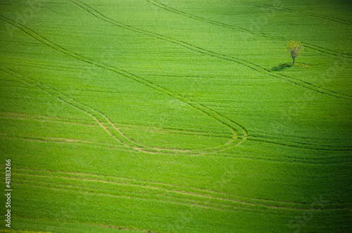 Photo: Tuscany landscape Tuscany landscape