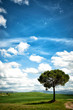 Tuscany landscape