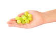 Handful of grapes