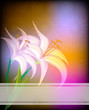 Sfondo con Lilium