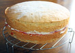 sponge cake