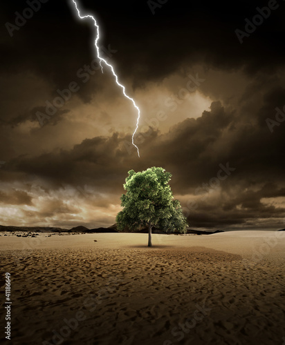 Illustrazione: Lighting on desert tree Lighting on desert tree