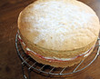 sponge cake
