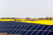Solarpanele,  Windkrafträder und ein Rapsfeld