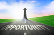 The road to opportunity