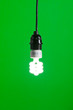 Green Light isolated hanging in the studio