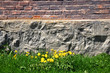 Brick and stone wall, grass and dandelions