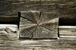 Timber logs, wooden texture
