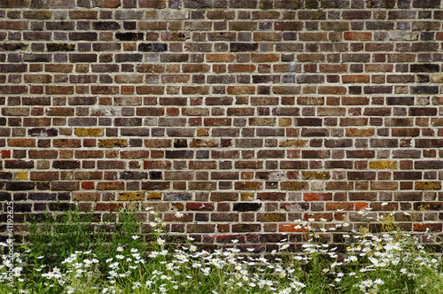 Photo: Brick wall and daisies Brick wall and daisies