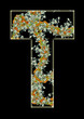 Letter T.