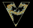 Letter V.