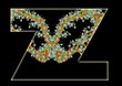 Letter Z.
