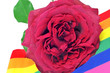gay rose gay rose