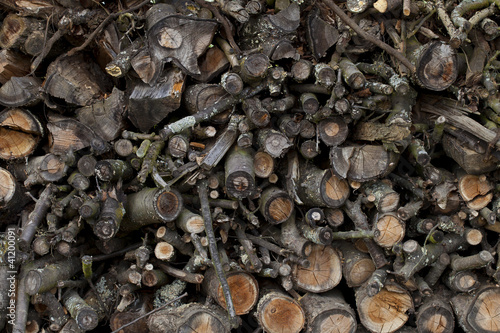 Foto: gesammeltes Holz auf Stapel aufgeschichtet gesammeltes Holz auf Stapel aufgeschichtet