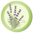 Sweet Lavender Flowers, Herbes de Provence, cooking, perfumes