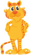 Isolated tiger