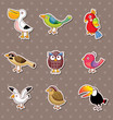 bird stickers
