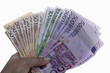 hand holds money euro on the white backgeound