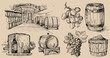 wine collection