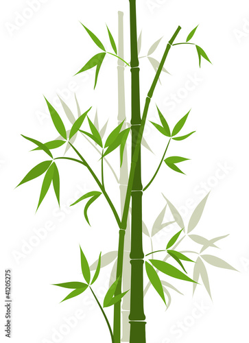 Vector: Bamboo background, vector Bamboo background, vector