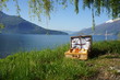 Picknick
