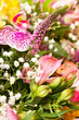 bouquet of colorful flowers bouquet of colorful flowers
