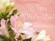 Happy Mother's Day