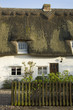 Thatched roof