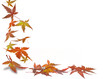 Photo: Herbst! Herbst!