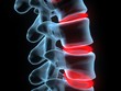 Wirbel detail xray spine